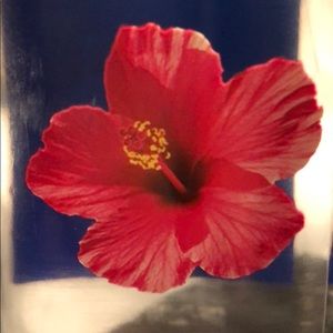 Meet your Posher, Joann